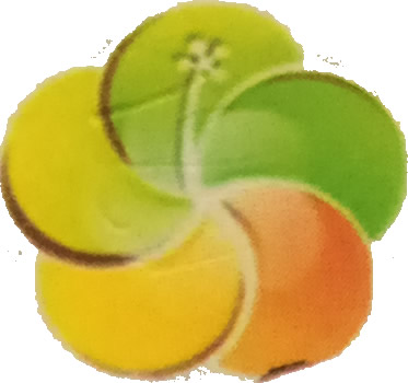 Executive Serene Hotel and Suites